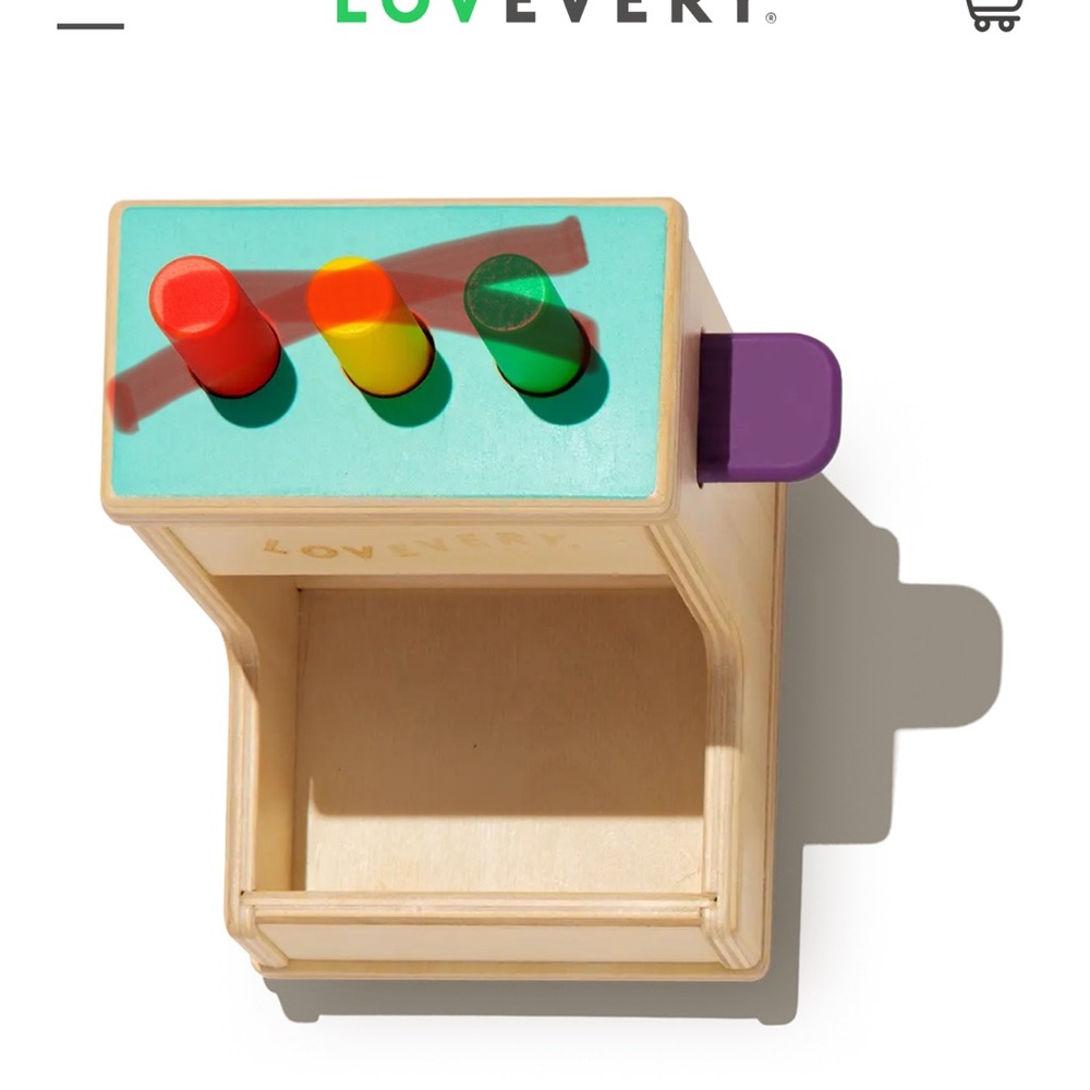 Lovevery Wooden Peg Drop from The Thinker 11-12 Months Play Kit